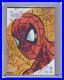 2017-Upper-Deck-Marvel-Premier-Joe-Jusko-Spider-Man-1-1-Original-Art-Sketch-Card-01-ghh