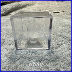 Dilithium Crystal original from Star Trek Productions COA TOS TNG Discovery