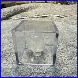 Dilithium Crystal original from Star Trek Productions COA TOS TNG Discovery