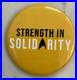 STAR-TREK-PIN-Strength-in-Solidarity-Star-Trek-WGA-SAG-Strike-Pin-01-wm