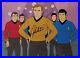 Star-Trek-Original-Production-Cel-Kirk-Spok-Scotty-McCoy-Sulu-Signed-By-Shatner-01-zp