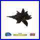 Star-Trek-Strange-New-Worlds-Authentic-Prop-Dried-Natural-Star-Pod-01-njl
