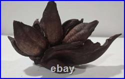 Star Trek Strange New Worlds? Authentic Prop? Dried Natural Star Pod