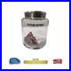 Star-Trek-Strange-New-Worlds-Authentic-Prop-Federation-Heart-Specimen-01-kt
