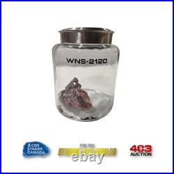 Star Trek Strange New Worlds? Authentic Prop? Federation Heart Specimen