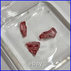 Star Trek Strange New Worlds? Authentic Prop? Sick Bay Red Crystal Sample