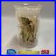 Star-Trek-Strange-New-Worlds-Authentic-Prop-Sick-Bay-Vegetation-Specimen-01-teqh