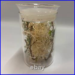 Star Trek Strange New Worlds? Authentic Prop? Sick Bay Vegetation Specimen
