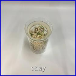 Star Trek Strange New Worlds? Authentic Prop? Sick Bay Vegetation Specimen