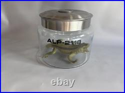 Star Trek Strange New Worlds? Screen-Used? ONE? Kirk Xeno Biology Sample