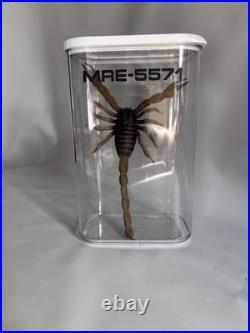 Star Trek Strange New Worlds? Screen-Used? ONE? Kirk Xeno Biology Sample