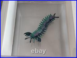 Star Trek Strange New Worlds? Screen-Used? ONE? Kirk Xeno Biology Sample