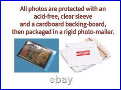 William Shatner Leonard Nimoy Signed 8x10 (STAR TREK) Authentic Autographs withCOA William Shatner Leonard Nimoy Signed 8x10 (STAR TREK) Authentic Autographs withCOA